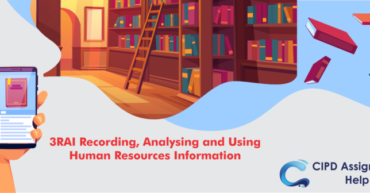 3RAI Recording, Analysing and Using Human Resources Information