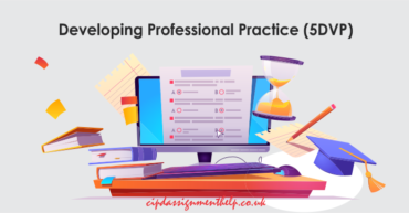 Developing Professional Practice (5DVP)