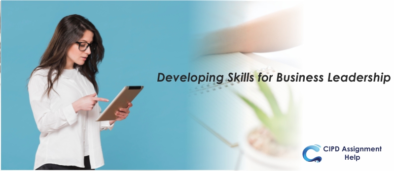 Developing Skills for Business Leadership