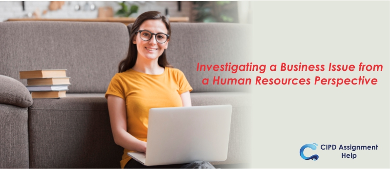 Investigating a Business Issue from a Human Resources Perspective