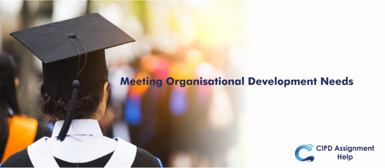 Meeting Organisational Development Needs