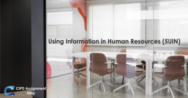 Using Information in Human Resources (5UIN)