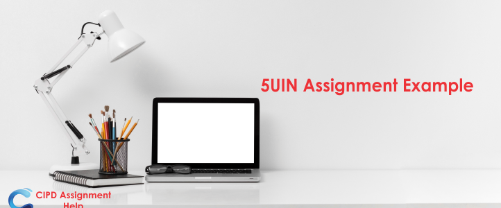 5UIN Assignment Example