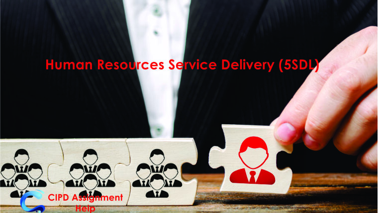 Human Resources Service Delivery (5SDL)