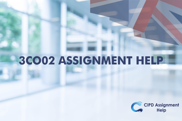 3CO01 ASSIGNMENT EXAMPLE