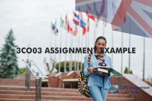 cipd level 3 assignment answers