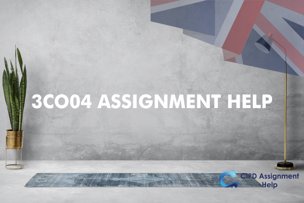 3CO04 ASSIGNMENT HELP