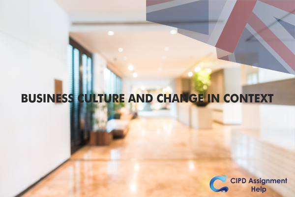 BUSINESS CULTURE AND CHANGE IN CONTEXT